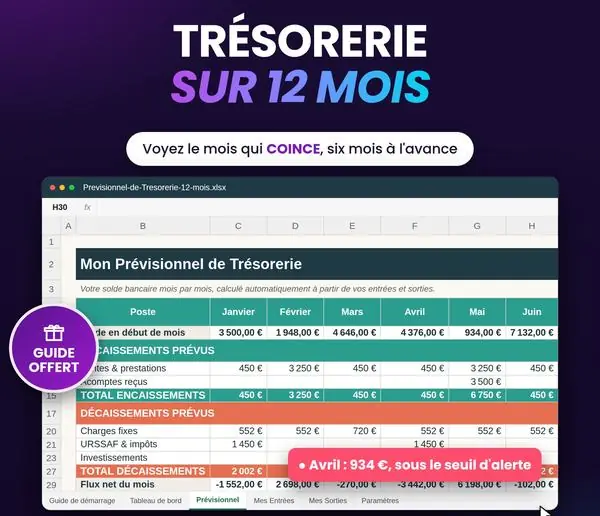 Aperçu : Prévisionnel de Trésorerie 12 mois